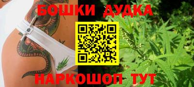 гидра Шахты