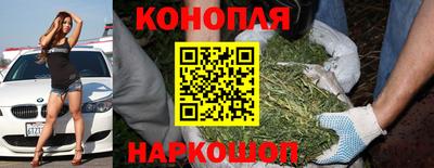 гидра Шахты