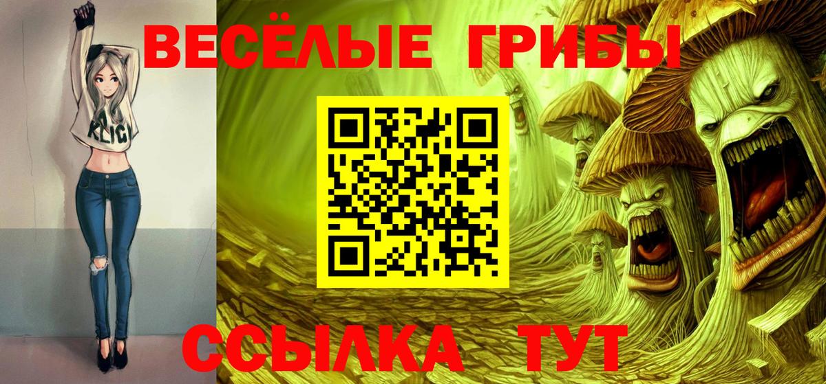 Галлюциногенные грибы прущие грибы  Вход с VPN  Ногинск 